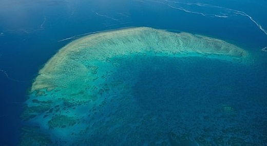 Korálový útes u Austrálie